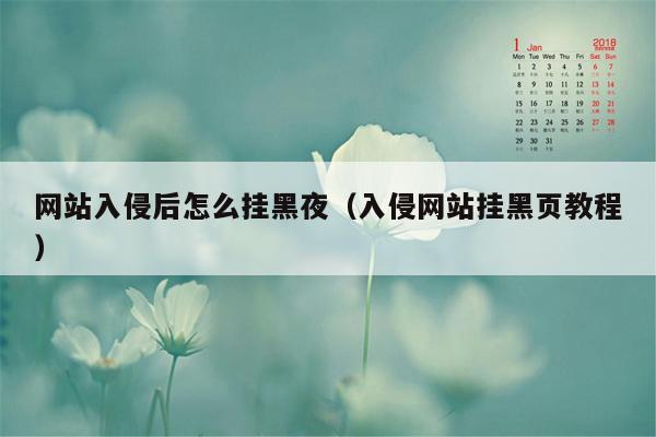 网站入侵后怎么挂黑夜（入侵网站挂黑页教程）