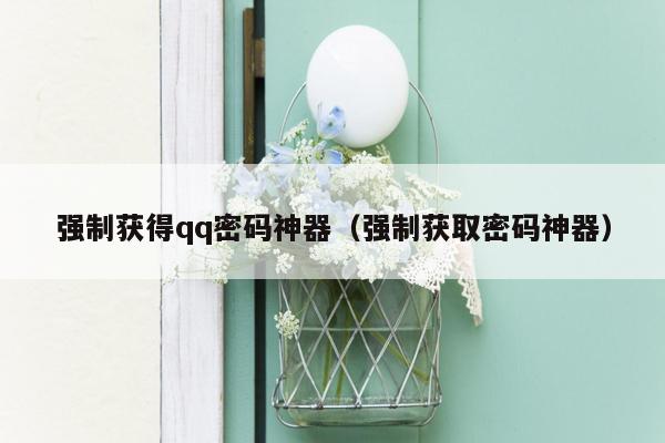 强制获得qq密码神器（强制获取密码神器）