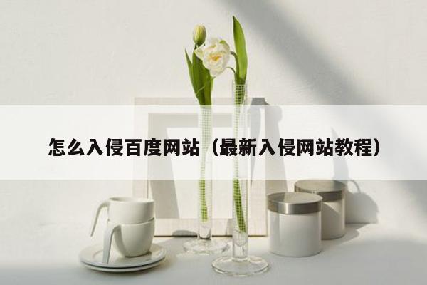 怎么入侵百度网站（最新入侵网站教程）