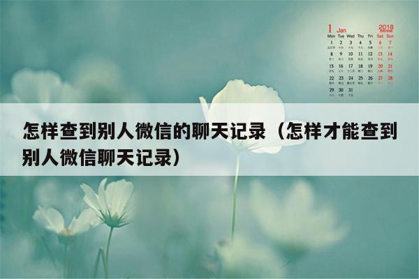 怎样查到别人微信的聊天记录（怎样才能查到别人微信聊天记录）