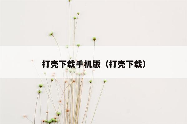 打壳下载手机版（打壳下载）