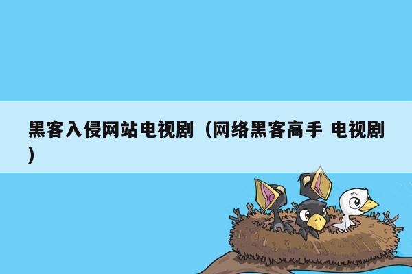 黑客入侵网站电视剧（网络黑客高手 电视剧）