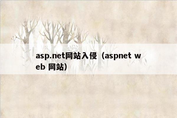 asp.net网站入侵（aspnet web 网站）