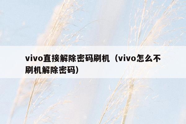 vivo直接解除密码刷机（vivo怎么不刷机解除密码）