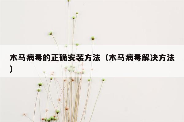 木马病毒的正确安装方法（木马病毒解决方法）