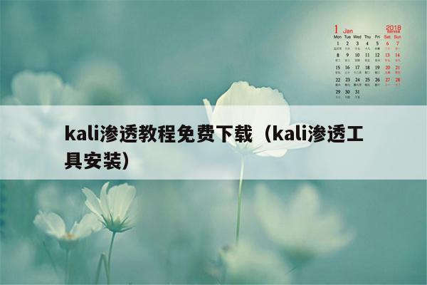 kali渗透教程免费下载（kali渗透工具安装）