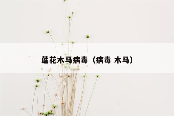 莲花木马病毒（病毒 木马）