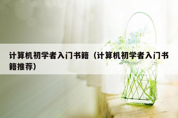 计算机初学者入门书籍（计算机初学者入门书籍推荐）