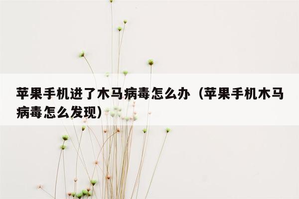 苹果手机进了木马病毒怎么办（苹果手机木马病毒怎么发现）