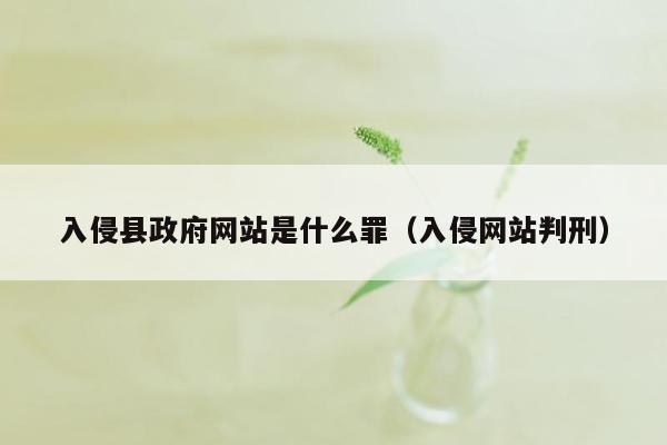 入侵县政府网站是什么罪（入侵网站判刑）