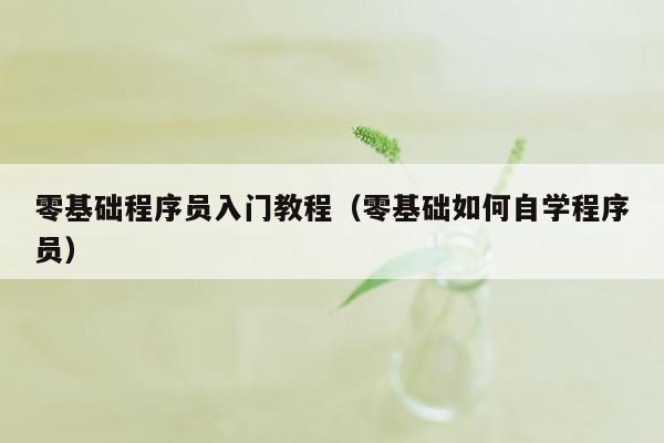 零基础程序员入门教程（零基础如何自学程序员）