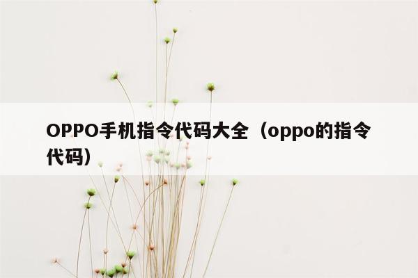 OPPO手机指令代码大全（oppo的指令代码）