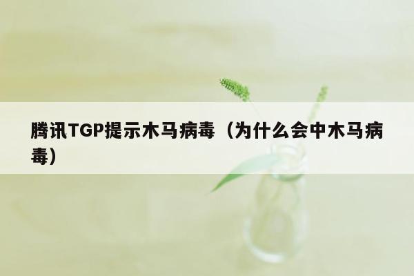 腾讯TGP提示木马病毒（为什么会中木马病毒）