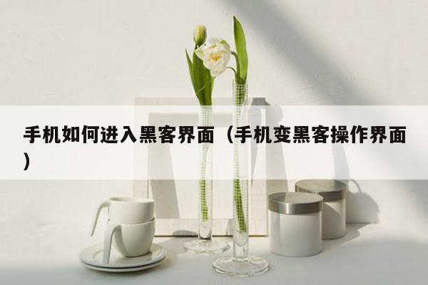 手机如何进入黑客界面（手机变黑客操作界面）