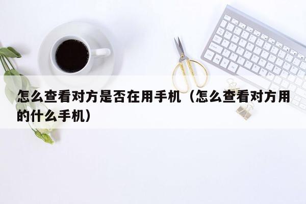 怎么查看对方是否在用手机（怎么查看对方用的什么手机）