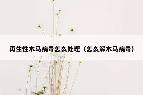 再生性木马病毒怎么处理（怎么解木马病毒）