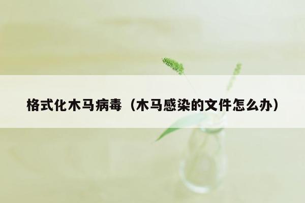 格式化木马病毒（木马感染的文件怎么办）