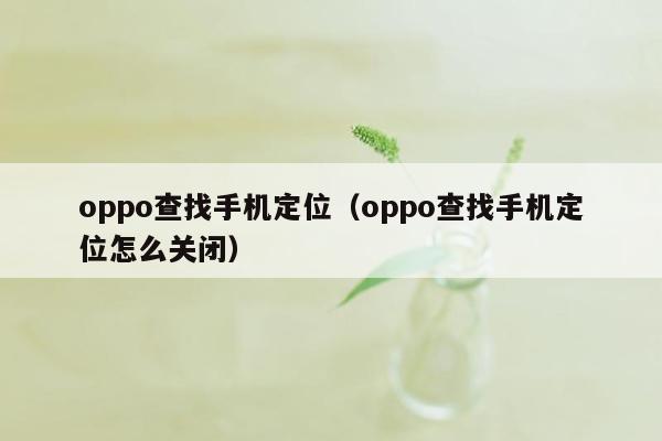 oppo查找手机定位（oppo查找手机定位怎么关闭）