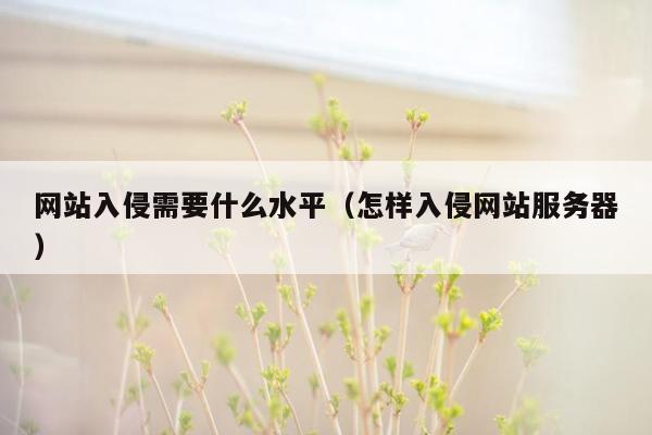 网站入侵需要什么水平（怎样入侵网站服务器）