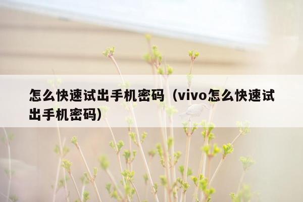 怎么快速试出手机密码（vivo怎么快速试出手机密码）