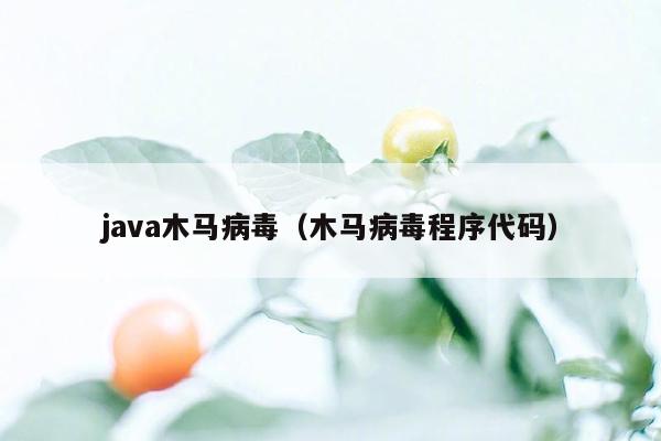 java木马病毒（木马病毒程序代码）