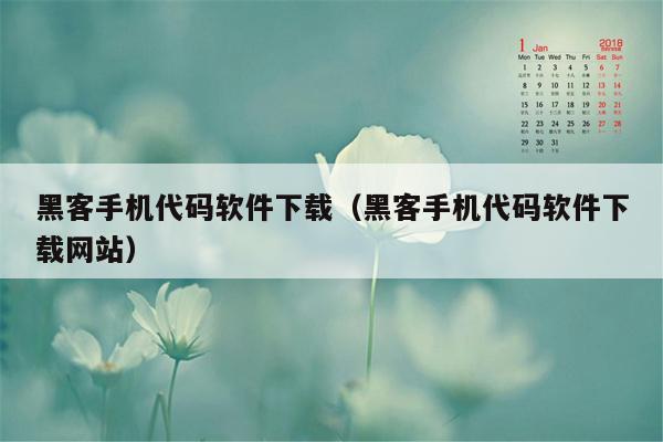 黑客手机代码软件下载（黑客手机代码软件下载网站）