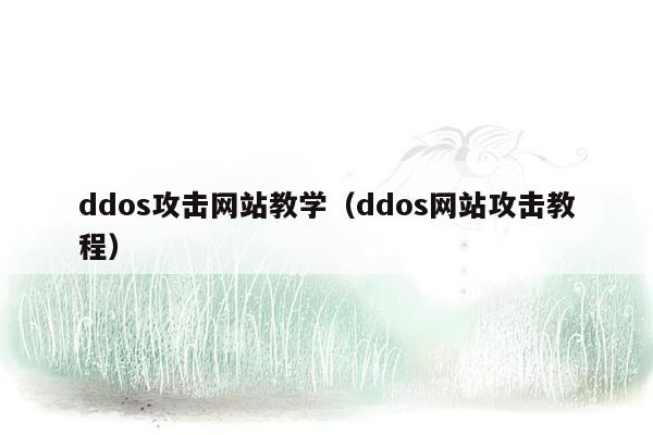 ddos攻击网站教学（ddos网站攻击教程）