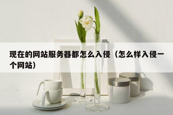 现在的网站服务器都怎么入侵（怎么样入侵一个网站）