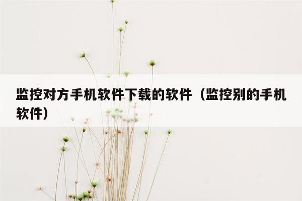 监控对方手机软件下载的软件（监控别的手机软件）