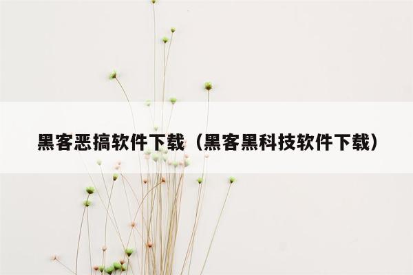 黑客恶搞软件下载（黑客黑科技软件下载）