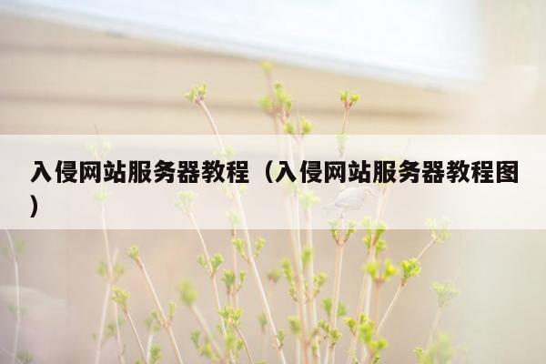 入侵网站服务器教程（入侵网站服务器教程图）