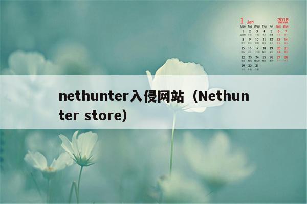 nethunter入侵网站（Nethunter store）