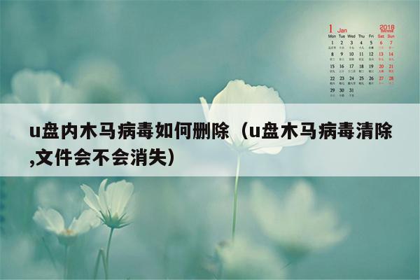 u盘内木马病毒如何删除（u盘木马病毒清除,文件会不会消失）