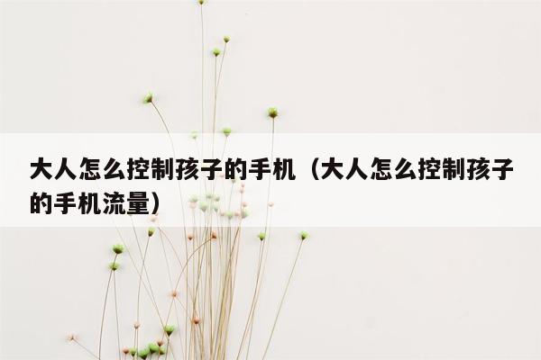 大人怎么控制孩子的手机（大人怎么控制孩子的手机流量）