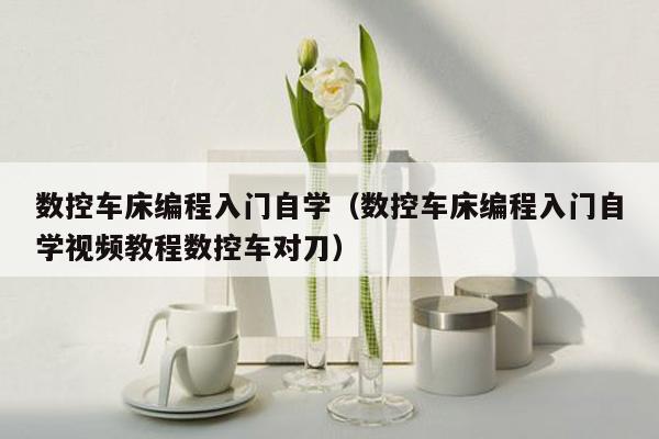 数控车床编程入门自学（数控车床编程入门自学视频教程数控车对刀）