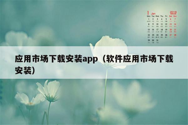 应用市场下载安装app（软件应用市场下载安装）