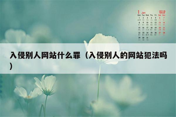 入侵别人网站什么罪（入侵别人的网站犯法吗）