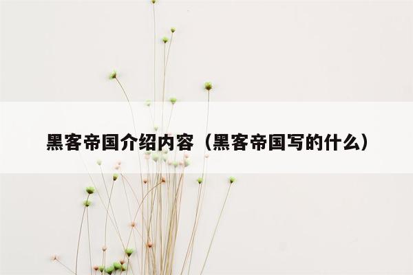 黑客帝国介绍内容（黑客帝国写的什么）