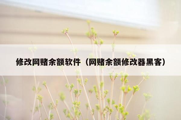 修改网赌余额软件（网赌余额修改器黑客）