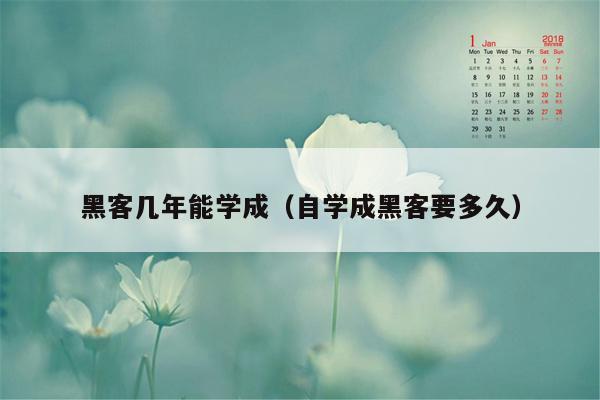 黑客几年能学成（自学成黑客要多久）