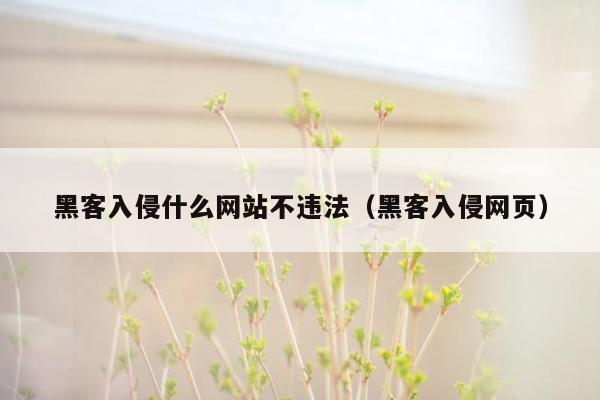 黑客入侵什么网站不违法（黑客入侵网页）