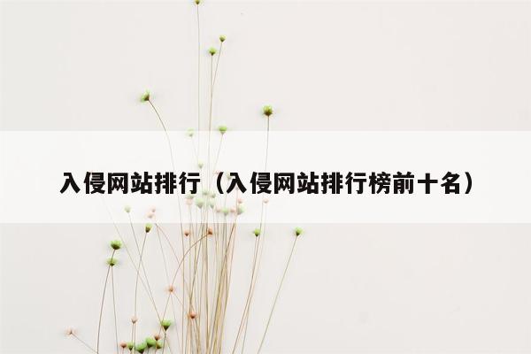 入侵网站排行（入侵网站排行榜前十名）