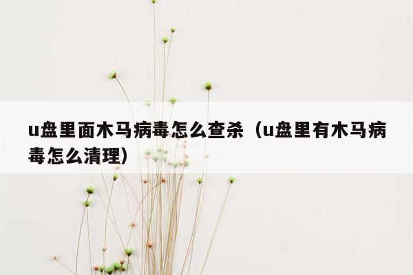 u盘里面木马病毒怎么查杀（u盘里有木马病毒怎么清理）