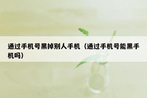 通过手机号黑掉别人手机（通过手机号能黑手机吗）