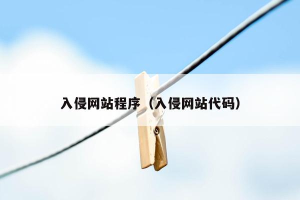 入侵网站程序（入侵网站代码）