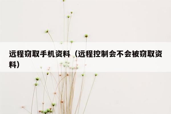 远程窃取手机资料（远程控制会不会被窃取资料）