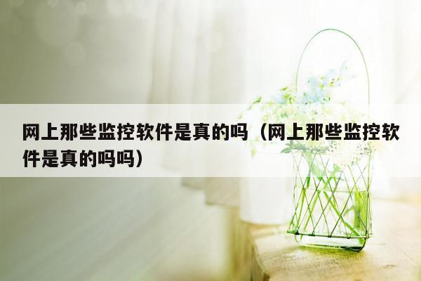 网上那些监控软件是真的吗（网上那些监控软件是真的吗吗）