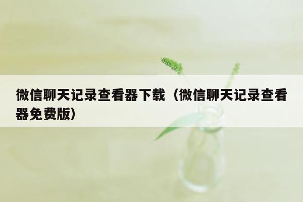 微信聊天记录查看器下载（微信聊天记录查看器免费版）