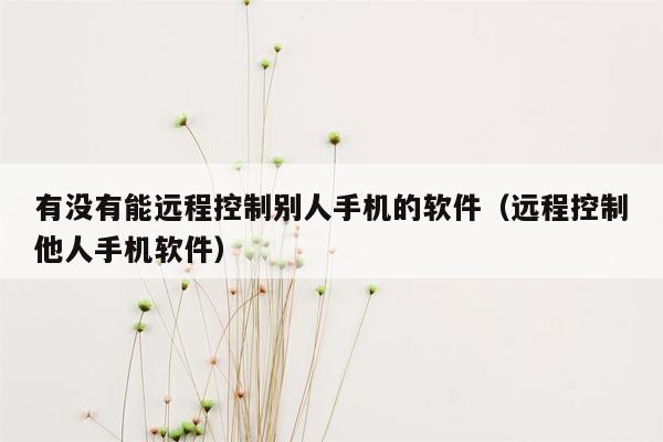 有没有能远程控制别人手机的软件（远程控制他人手机软件）