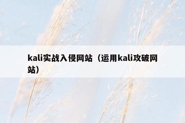 kali实战入侵网站（运用kali攻破网站）